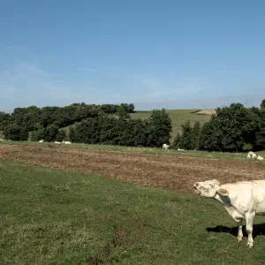22 août 2025
